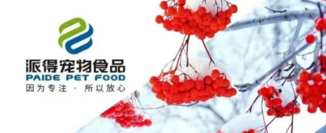 派得宠物