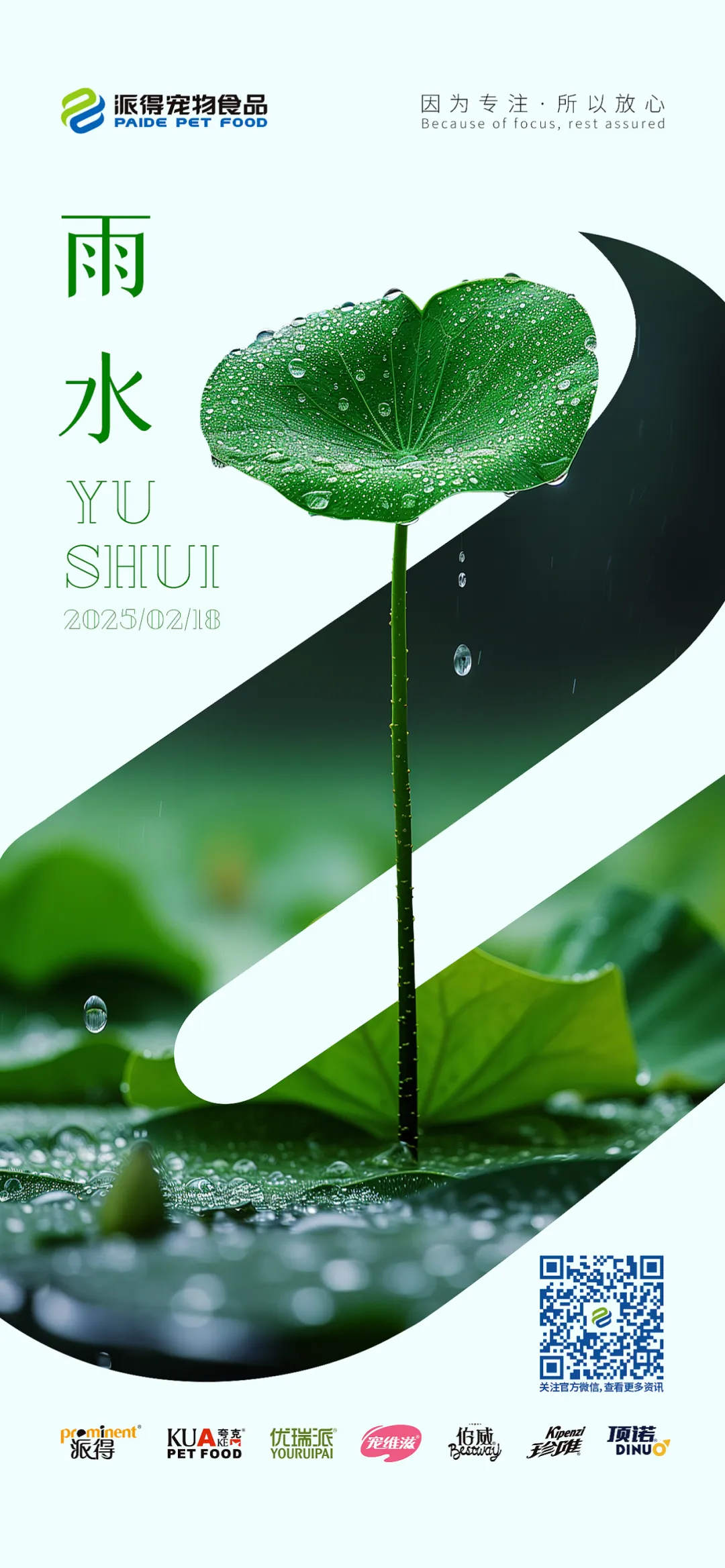 派得宠物