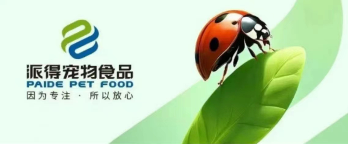 派得宠物