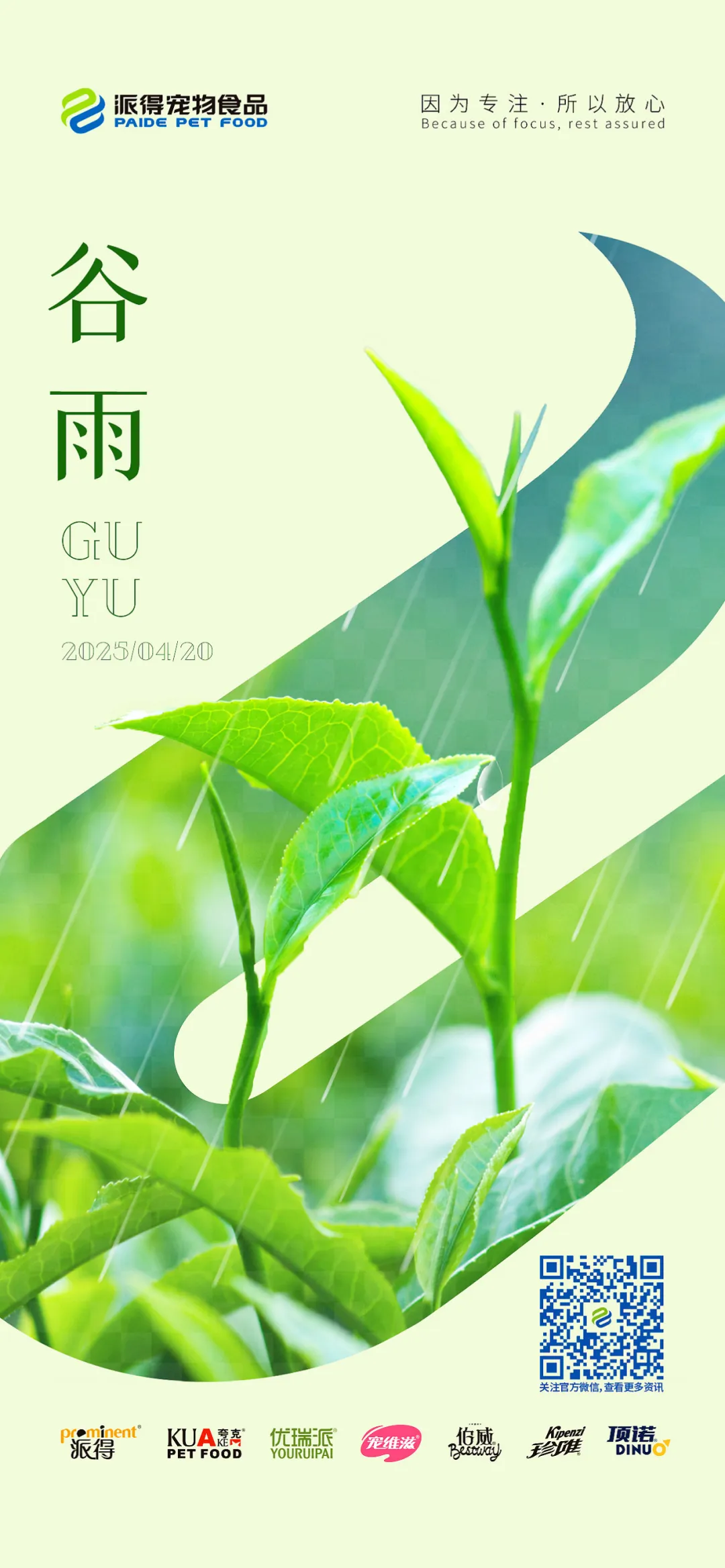 派得宠物