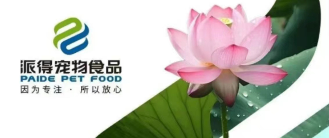 派得宠物