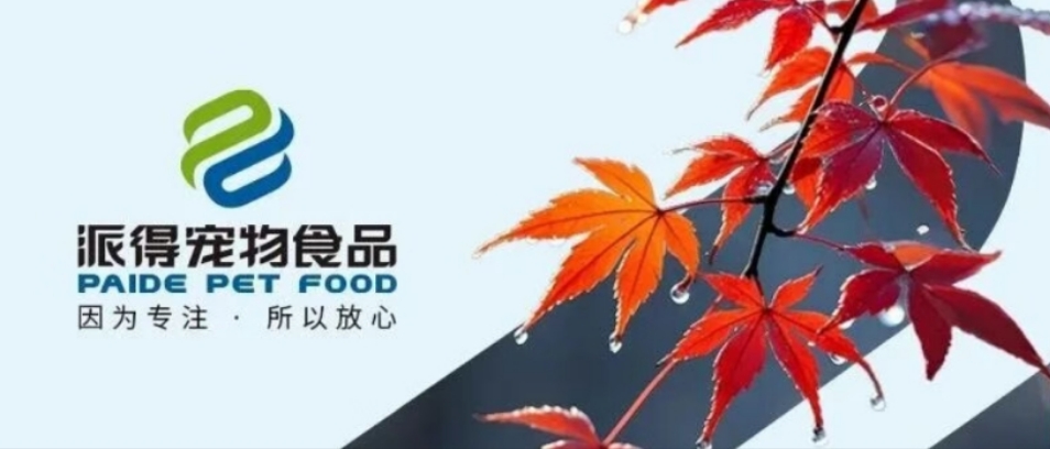 派得宠物