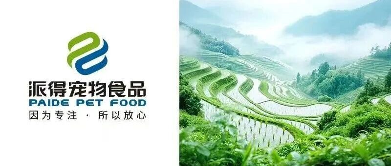 雨润万物百谷生  生活向暖夏渐行
