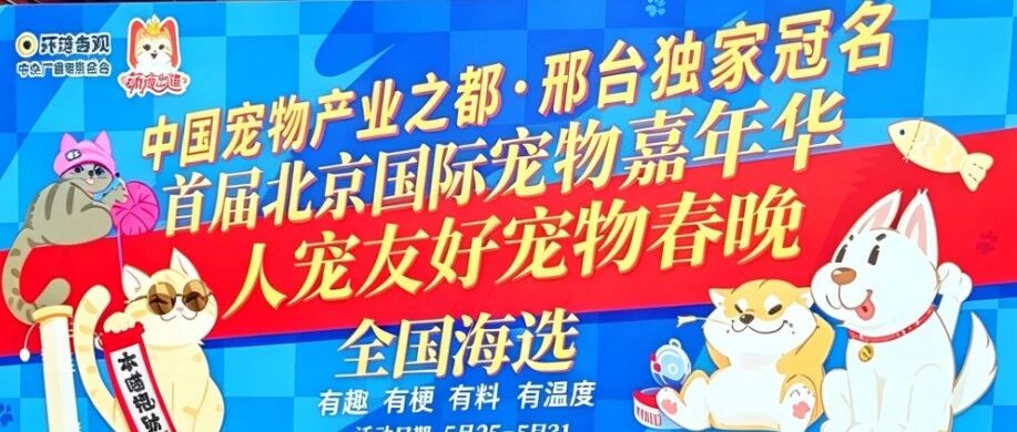 以爱为翼丨派得宠物食品助力萌宠闪耀出道！